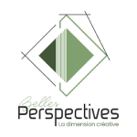 Logo Belles Perspectives